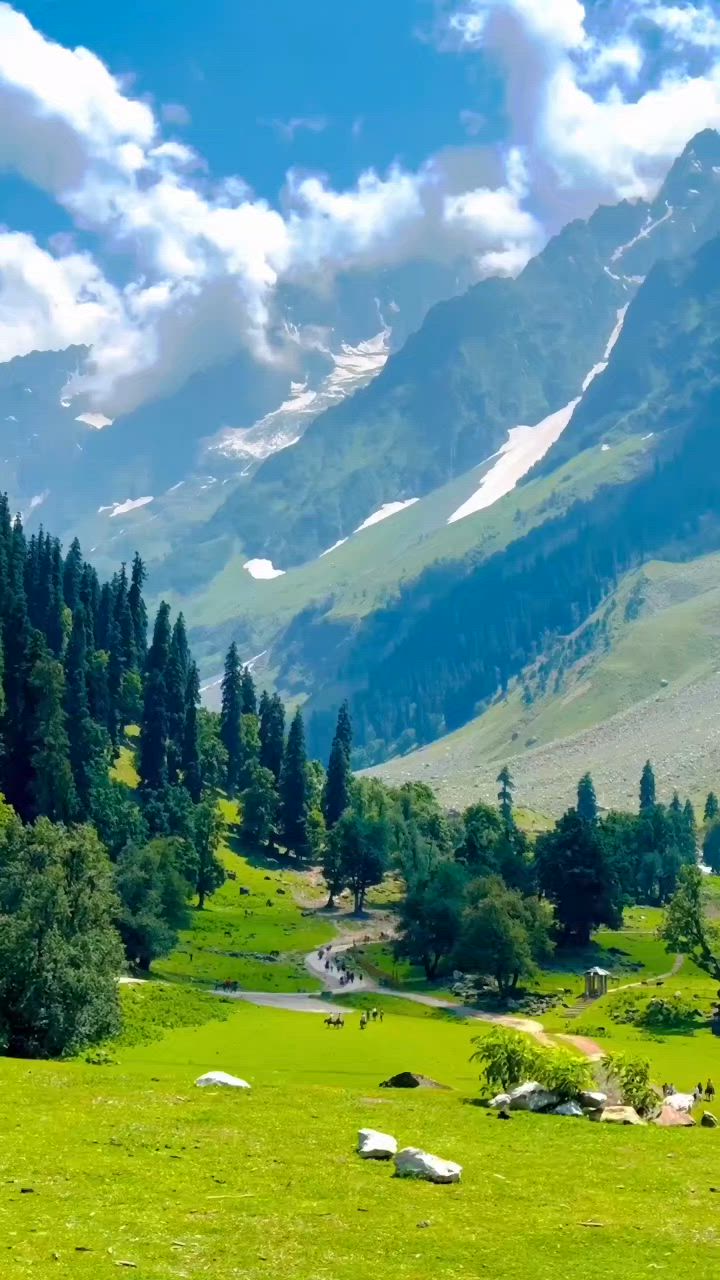 Tragpora, Kashmir